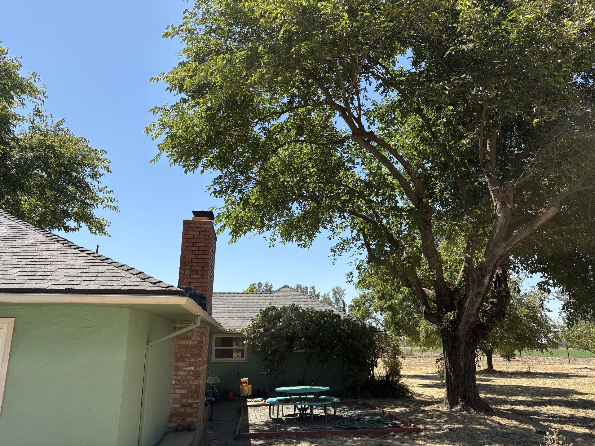 Yolo County Tree Service project photo