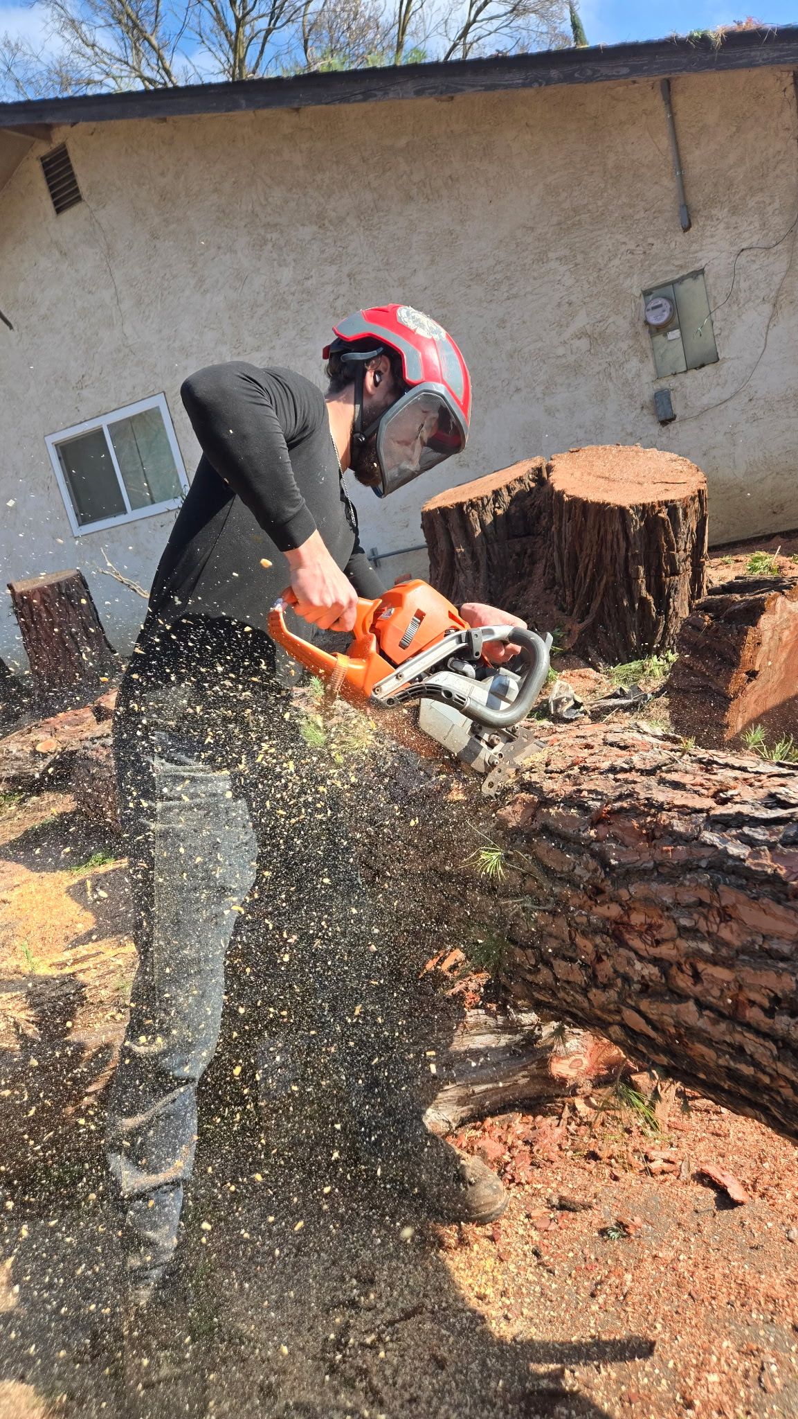 Yolo County Tree Service gallery photo
