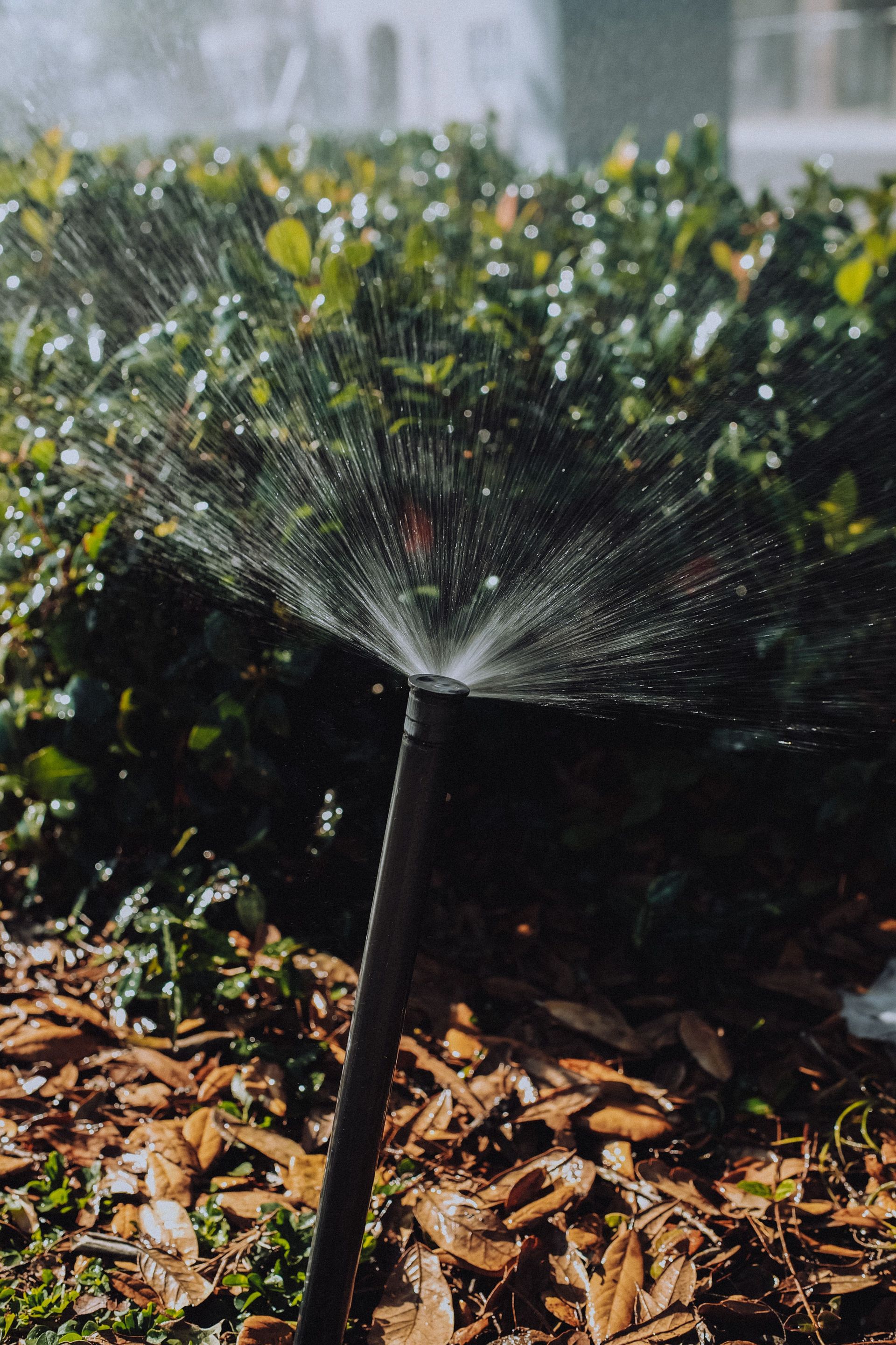 Detailed image of a garden sprinkler in action, watering green shrubs.